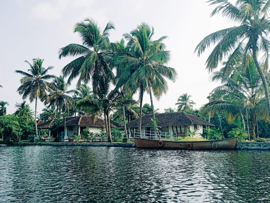 Ayur wakeup Ayurveda &amp; Yoga Retreat, Kerela, India