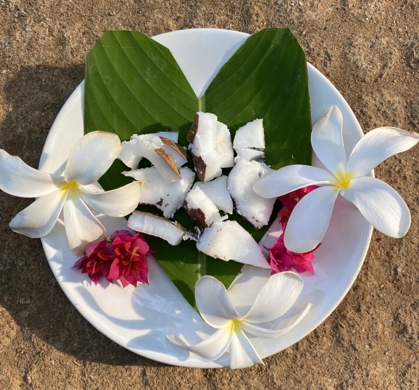 Holistisk Yoga &amp; Ayurveda Retreat