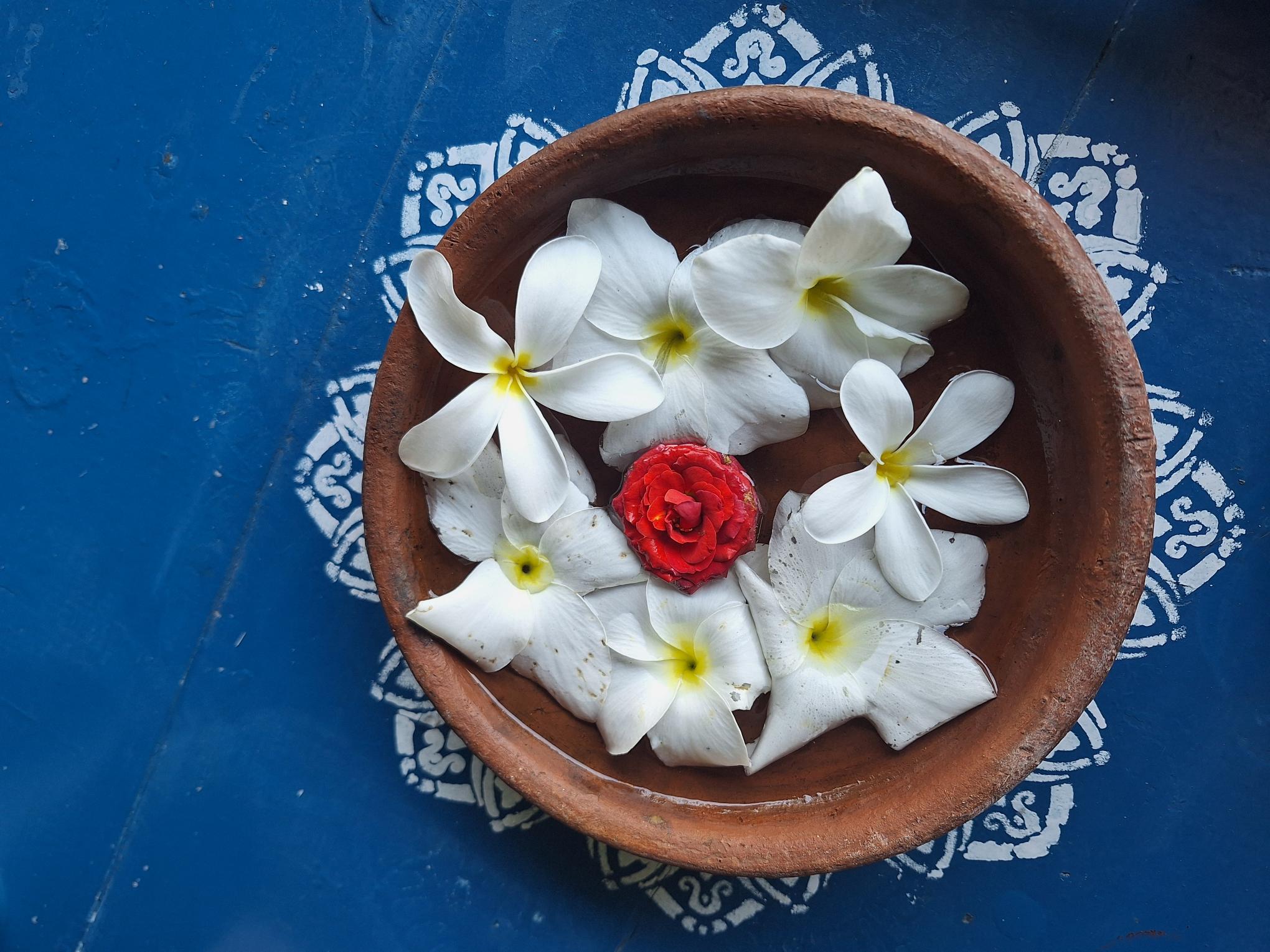 Holistisk Yoga &amp; Ayurveda Retreat